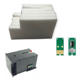 Chip Feltro Tanque Manutenção Compatível Epson T6711 L1455