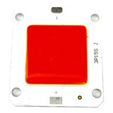 Bivolt