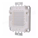 Chip Led Azul 50w Reposição De