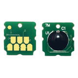 Sc13mb