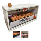 chocadeira automatica profissional