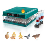 Chocadeira Automática Tanque Água Incubadora 130 Ovos 220v