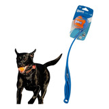 Cães
