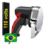 110v