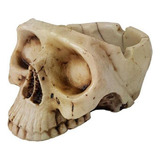 Cinzeiro Caveira Cranio De Resina Betume