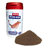 Betta