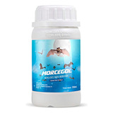 Morcegol