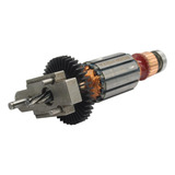 Cj Rotor 220v P Serra Tico Tico Dewalt Dwe300 b2 Original