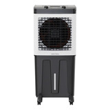 220v