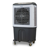Climatizador De Ar Industrial 80 L 250w 6 000 M h Ultraar Cor Cinza branco Voltagem 110v