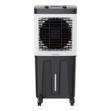220v