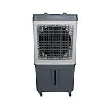 220V