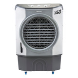 220v