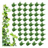 Plantas