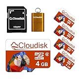 Cloudisk Cartão Micro SD 4GB Micro