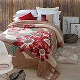 Cobertor Kyor Plus Perugia Jolitex 100 Poliéster Multicor Casal Jolitex Multicor Casal Poliéster