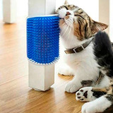 Catnip