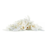 Coco Chips Desidratado Original Sem Açúcar 1kg Wenutri