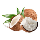 Coco Ralado Flocos Médios 1kg Wenutri