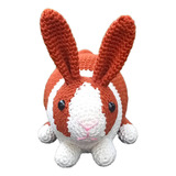 Coelho Realista Holandês Em Amigurumi