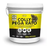 Cola Colly Pega Rato Pronto Uso Camundongos E Ratazana 1 Kg