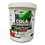 Cola Entomológica 1kg Armadilha Insetos Agricultura