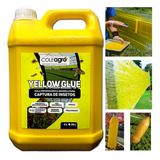 Cola Entomológica Amarela Yellow Glue 5 Litros