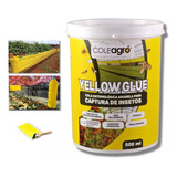 Cola Entomológica Amarela Yellow Glue 500g C Nf