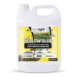 Cola Entomológica Amarela Yellow Glue Coleagro
