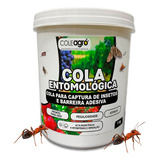 Cola Entomológica Barreira Formigas Armadilha Insetos