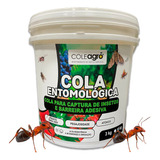 Cola Entomológica Incolor Armadilha Adesiva Insetos