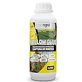 Cola Entomológica YellowGlue Para Captura De