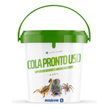 Cola Pega Rato Fria Control Up 3l Captura De Roedores