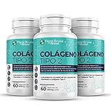Colágeno Tipo 2 I I 3x 60 Cápsulas Vitaminas Máx 1 Ao Dia