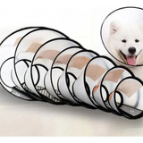 colar cirurgico elizabetano cachorros transparente tamanho coleira colar pescoco