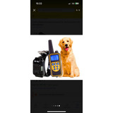 Colar Coleira Eletrônica Adestramento Cachorro Recarregável