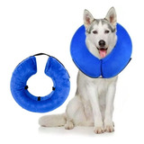 Cães