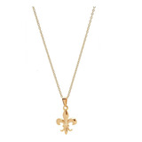 Colar Letras Flor De Lis Formatura Folheada A Ouro 18k 