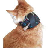 Gato