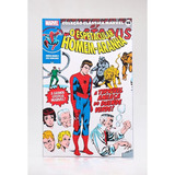 Coleção Clássica Marvel Vol 14 Homem aranha Vol 3 De Lee Stan Editorial Panini Brasil Ltda Tapa Mole En Português 2021