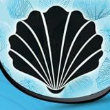 Coleção Da Foto Dos Seashells