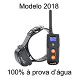 Cão