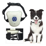 Cães