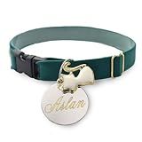 Coleira Bonita Gato E Plaqueta Identificação Nome E Telefone PETS Adultos 17 Cm A 29 Cm