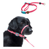 Coleira Cabresto De Adestramento Para Cachorro Tam M Cor Fiji Toh Dog
