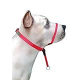 Coleira Cabresto Para Cães M K9 Spirit Vermelha
