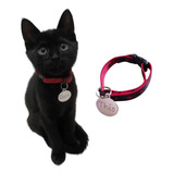 Coleira Com Placa Gravada Nome E Telefone Para Gatos