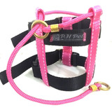 Coleira Illusion Encantador De Cães Kit 03 Pçs