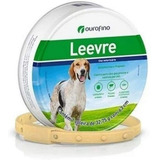 Coleira Leevre Ouro Fino 63 Cm Envio Imediato Promoção