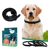 Coleira Natural Antipulgas Carrapatos Para Cachorros 63cm Ajustável